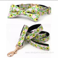 cute personalized dog collar and leash set